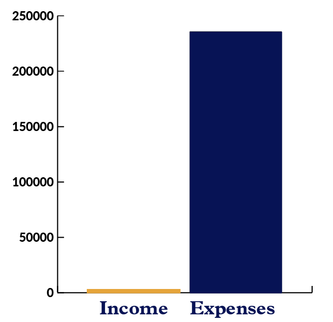 Bar graph showing Carpentries Income versus Expenses from Curriculum with expenses more than income