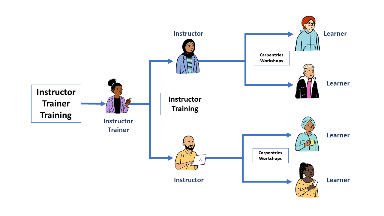 A diagram of our Instructor Training program. Instructor Trainers are trained through Instructor Trainer Training and themselves teach Instructor Training to new Instructors. New Instructors teach Carpentries Workshops to learners.